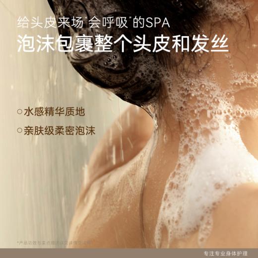 [粉丝专属]水之蔻茶树氨基酸控油蓬松洗发水露清爽柔顺留香男女400ml 商品图4