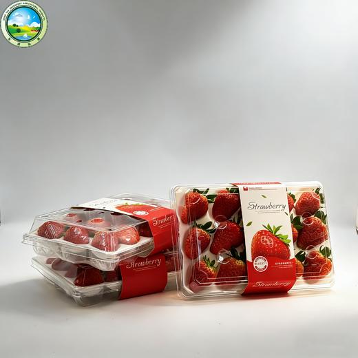 爆款热销  东滩红颜草莓 商品图3