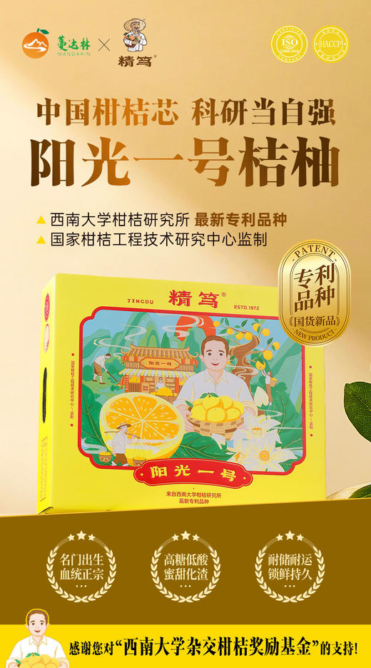 精笃®阳光一号桔柚 商品图0