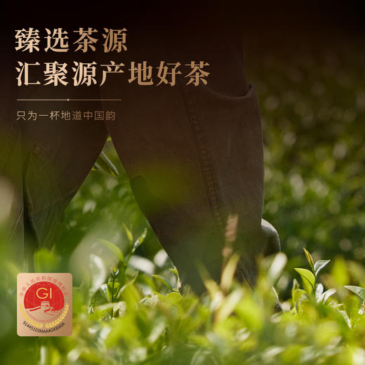 【顺丰春季茶礼】茶叶 凤凰单枞 潮州凤凰单丛茶 乌龙茶 茶叶礼盒 茶饮 华源 250g 商品图7