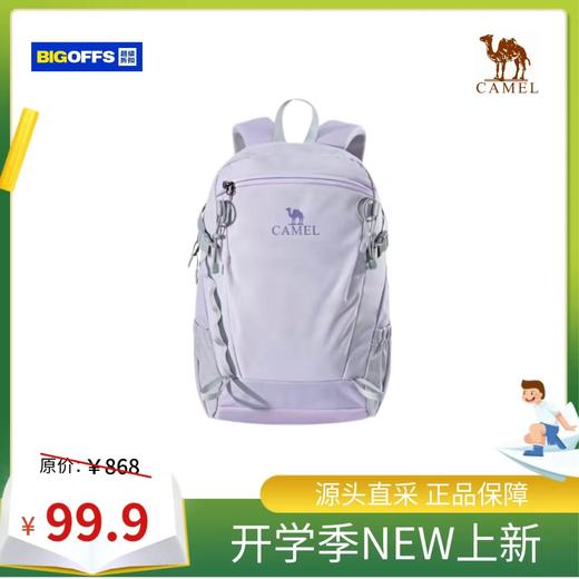 骆驼 99.9元 休闲包 2-3天发货 京东快递配送 邮费自理 线上线下同时售卖，不保证有货，介意勿拍-XH 商品图0