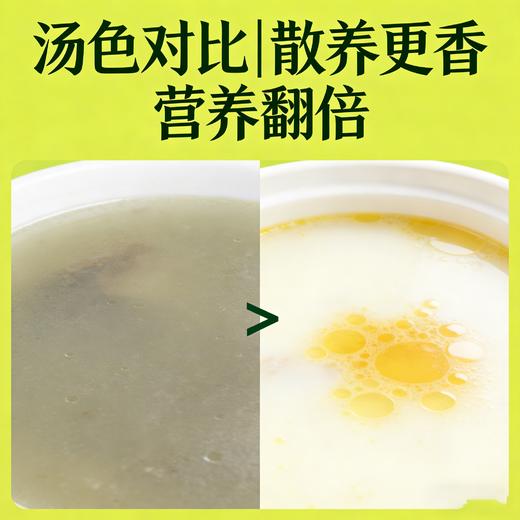 【东滩绿港】崇明老鸭（1年以上） 商品图4