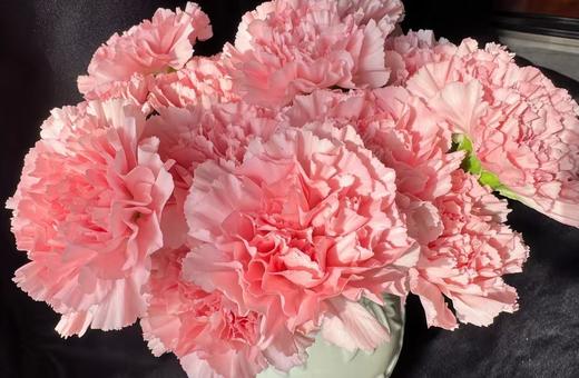 单康 | 唐赛尔 商品图1