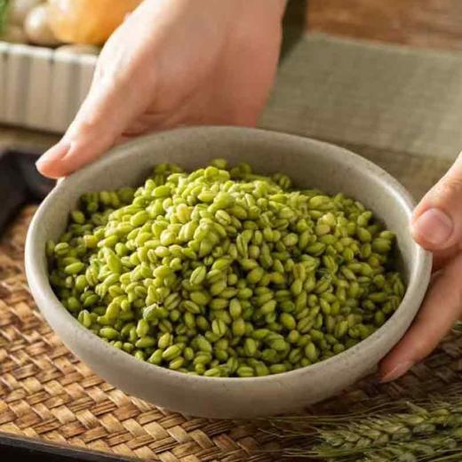 【甄选】年年念念 青麦仁 清新麦香 鲜嫩回甘 吃法多样 100g*6袋 商品图2