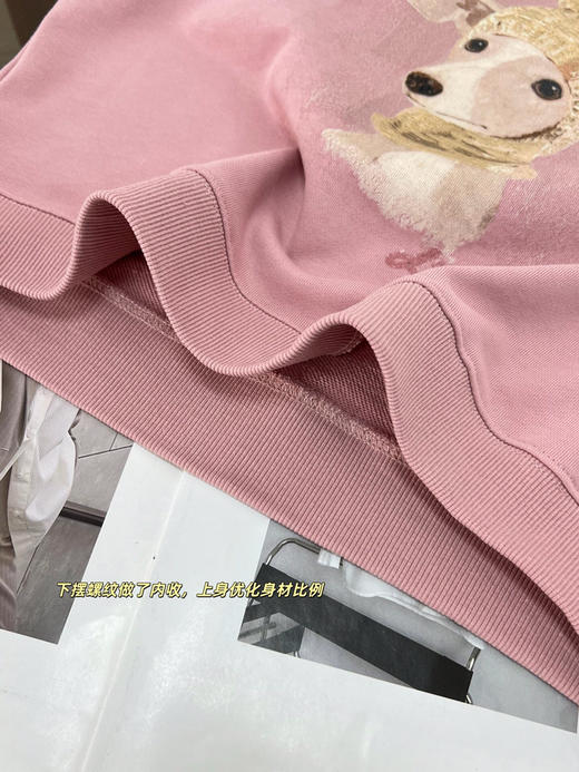 FXA2511时髦休闲卫衣 商品图4