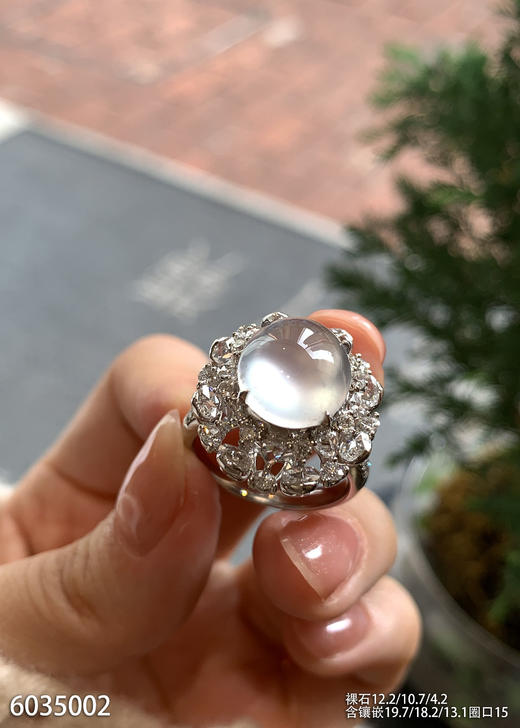 6035002，蛋面戒指。具体价格微信咨询 商品图0