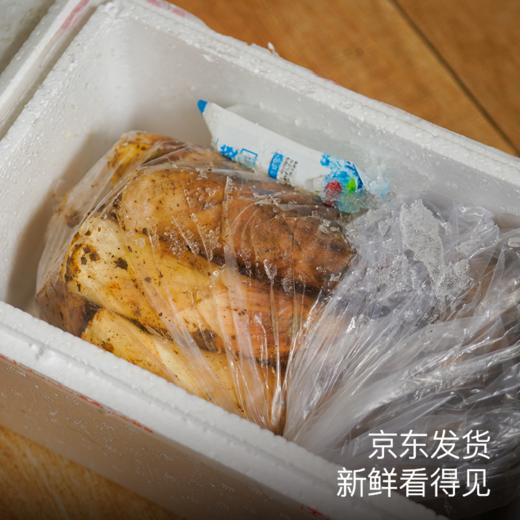 饱记·临安天目山雷笋带壳春笋4斤装2026年京东发货 商品图4
