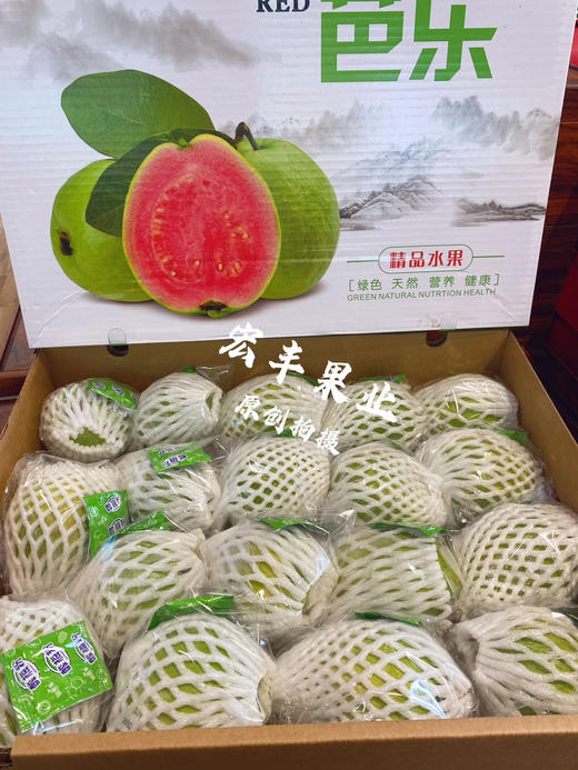 【宏丰精选】 红心芭乐，珍珠翻石榴 孕妇与老人水果 放软的口会更好，活动价15.8一斤 商品图2