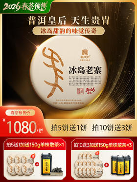 2026年春茶【冰岛老寨】古树茶，临沧茶区冰岛老寨古茶园核心茶地古树茶200克普洱生茶