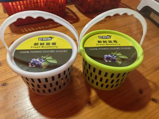 花香蓝莓（桶装）仅限衢州地区 商品图0