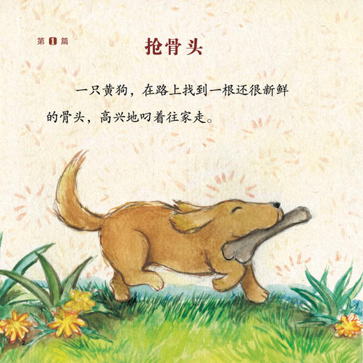 《青青葱葱识字儿童汉语分级读物》（1-4级） 商品图7