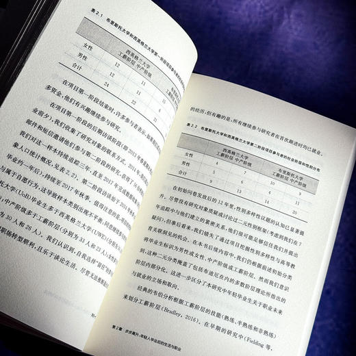 学历一代 后象牙塔时代的价值迷思 文化资本与社会炼金术 商品图12