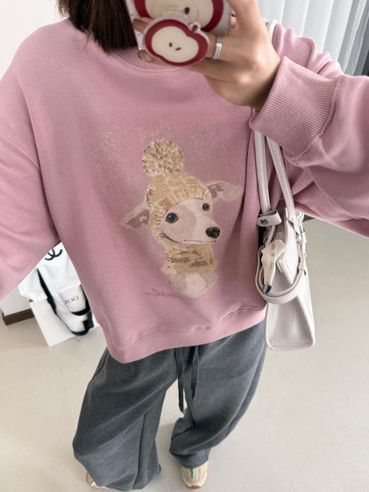 FXA2511时髦休闲卫衣 商品图12