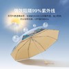 【焕新季】英国FULTON富尔顿 NG Minilite-2 UV Canaletto Venice 三折伞 WFNM2403 商品缩略图2