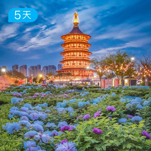 春季老君山+嵩山｜四月洛阳牡丹季 34公里徒步 徒步+赏花+人文 5日 商品图4