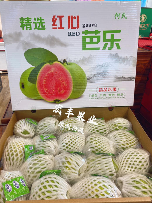 【宏丰精选】 红心芭乐，珍珠翻石榴 孕妇与老人水果 放软的口会更好，活动价15.8一斤 商品图3