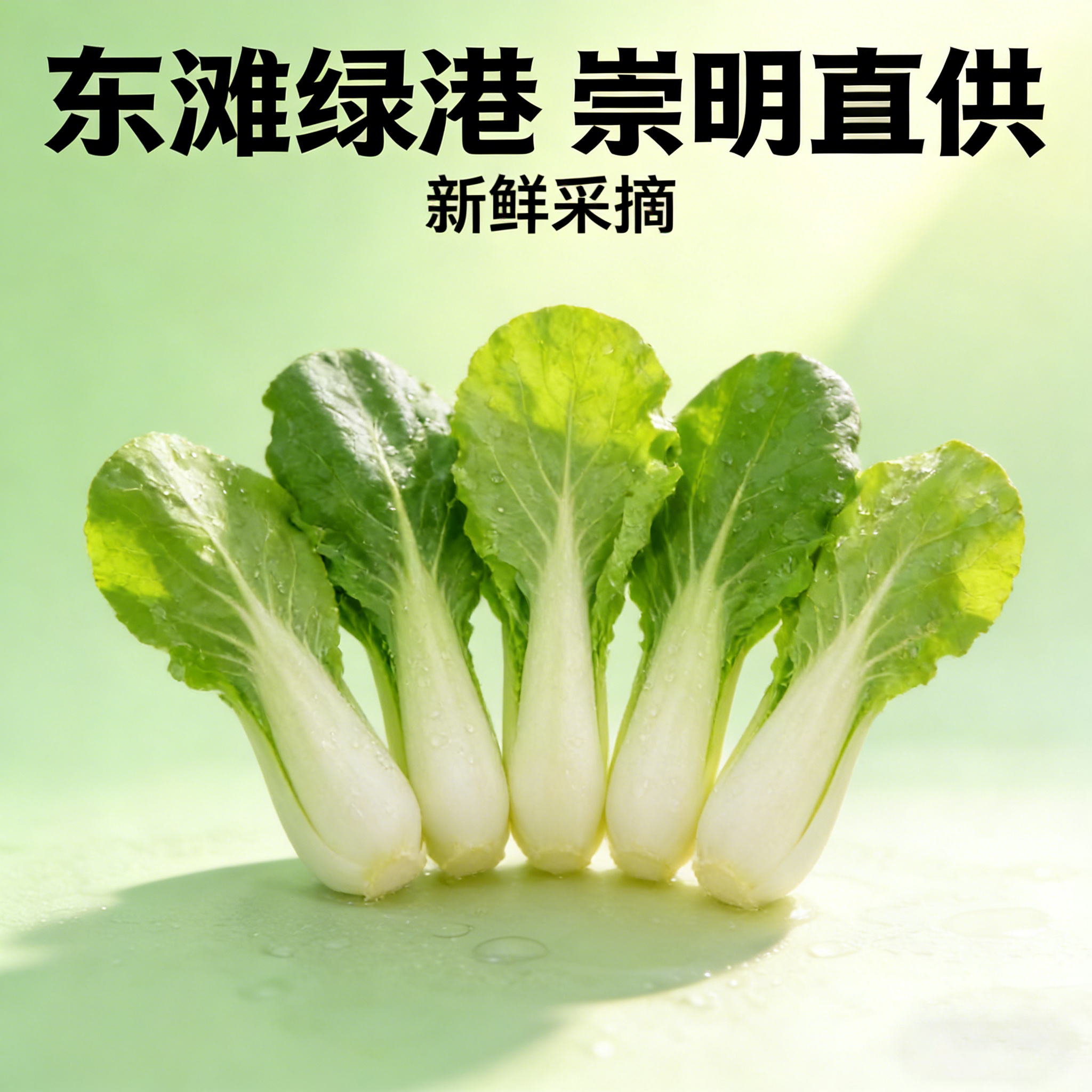 杭白菜（1份，约500g）