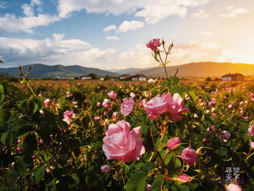 【巴尔干秘境寻踪】保加利亚 + 罗马尼亚 + 匈牙利 + 克罗地亚摄影之旅12天—22天 商品图6