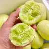 翡翠小胖丁💚山东直发玉女黄瓜，低卡0负担！脆甜多汁，解腻必备！(4.5斤) 商品缩略图5