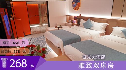 昭通紫光大酒店 雅致双床房 商品图0