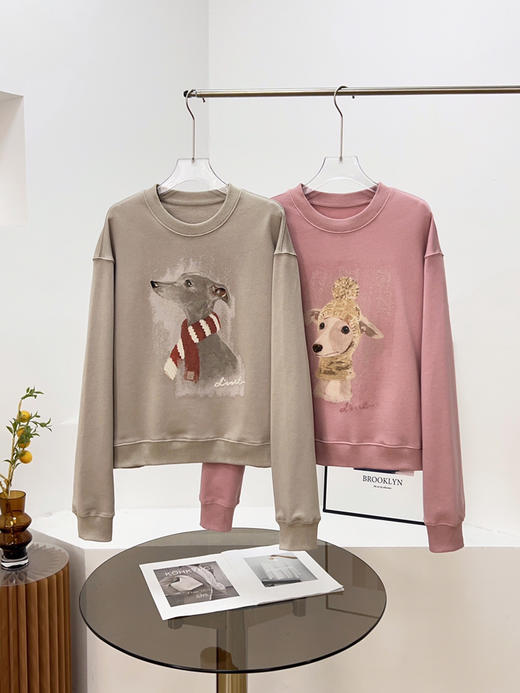 FXA2511时髦休闲卫衣 商品图0