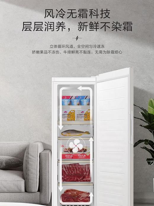 卡萨帝（Casarte）立式家用冻藏柜288升零下40度超低温细胞级锁鲜冷冻柜平嵌零嵌式双变频风冷无霜冻藏转换冰箱 云岩白丨全域风冷丨新一级能效丨 288L 商品图1