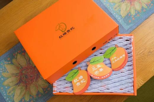 海南三亚红塘贵妃芒 北纬18°树上熟 一口甜润到心尖 商品图8