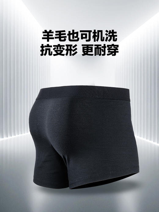 【龙牙上新】龙牙秘之风羽PRO美丽诺羊毛内裤 商品图4