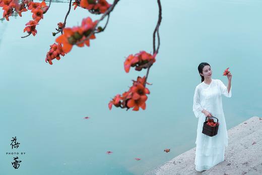 3月17日带你去拍百年古木棉，行摄目前最大葵林（含人像模特） 商品图6