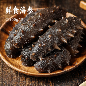 鲜食海参 | 源自北纬39°黄金海域 8-10头超大规格 自然底播 肉质肥厚 个头均匀饱满 参刺坚挺粗壮 肉质紧实不松散