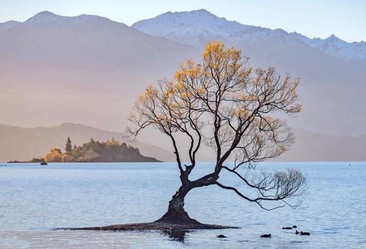 金秋新西兰・光影盛宴17 天摄影团：皇后镇、箭镇、库克山、萤火虫洞、瓦纳卡、好牧羊人教堂、福克斯冰川、霍比特人村 商品图13