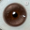 胡桃奇想 巧棕色 14.5mm 基弧8.7【10片装】进口日抛 商品缩略图3