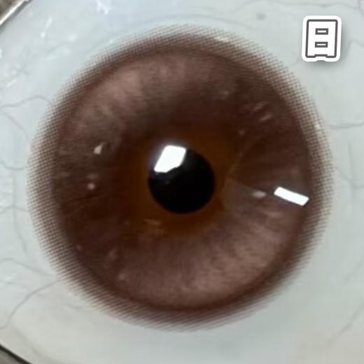 胡桃奇想 巧棕色 14.5mm 基弧8.7【10片装】进口日抛 商品图3