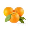 秭归脐橙（大）(1000±50g) 商品缩略图1