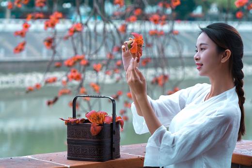 3月17日带你去拍百年古木棉，行摄目前最大葵林（含人像模特） 商品图7