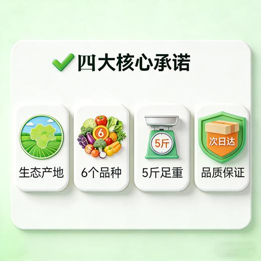 【东滩绿港】生态蔬菜体验餐B（绿色基地种植） 商品图2