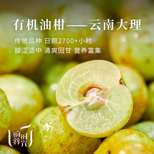【昀蓉时光· 单盒 · 有机油柑西梅原浆】有机云南油柑 有机新疆西梅 清爽回甘 抑制脂肪 让身体回归轻盈（40ml*7袋） 商品图4