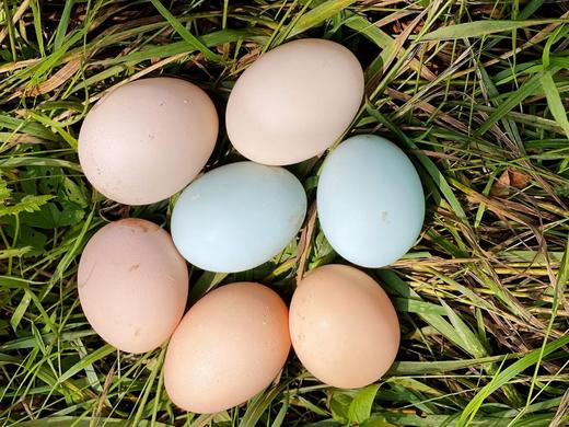 撒欢谷农场 鲜蛋蔬菜家庭套餐（30 枚鸡蛋 + 5 斤时令蔬菜） 商品图2