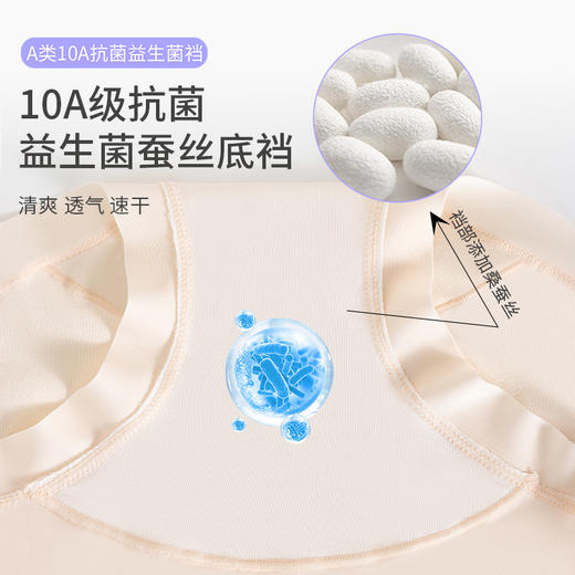 樱姿娜焕新标内裤 商品图8
