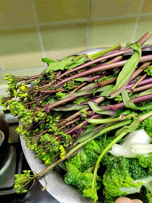 红菜苔500g 商品图0