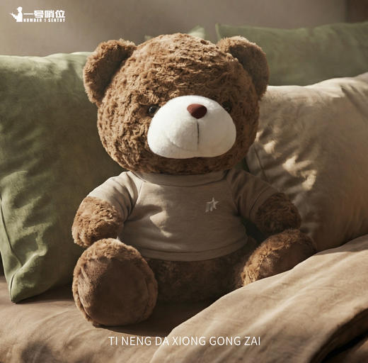 【体能大熊公仔40cm】体能大熊公仔40cm毛绒公仔陪伴公仔送小熊杯专属礼盒包装y 商品图5
