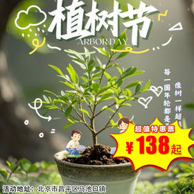 【昌平·3月15日-3月29日】半日营·3月植树节｜惊蛰植新绿，春风育童心，自然游戏、植树、育钵棉花、捉鸡套鹅、赶小猪，送螳螂卵！