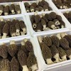 新鲜羊肚菌礼盒 商品缩略图2
