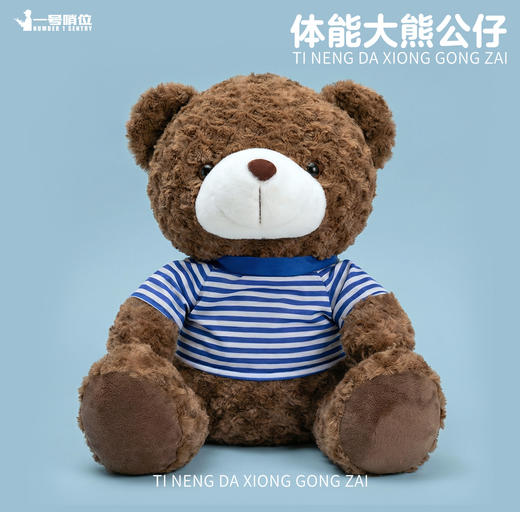 【体能大熊公仔40cm】体能大熊公仔40cm毛绒公仔陪伴公仔送小熊杯专属礼盒包装y 商品图7