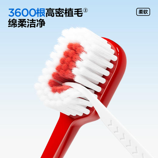 【新品上线】参半宽头净齿软毛牙刷 商品图3