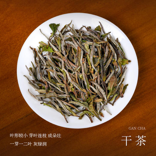 懂茶帝福鼎白茶高山荒野茶2020年大洋山荒野贡眉100g老白茶散茶 商品图1