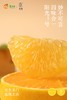 精笃®阳光一号桔柚 商品缩略图3