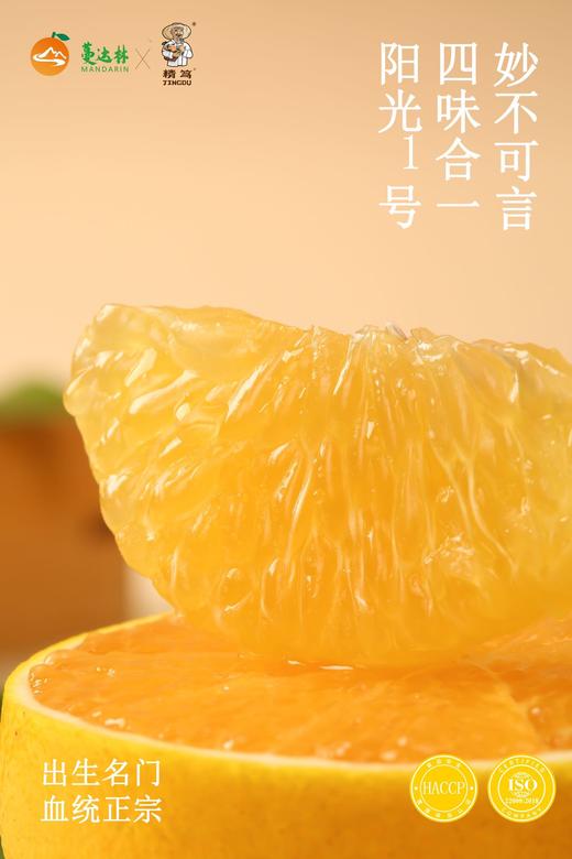 精笃®阳光一号桔柚 商品图3