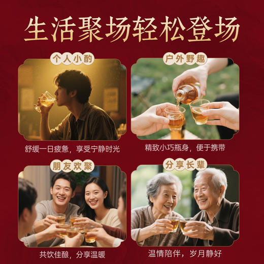 【一箱12瓶更划算】黄金苁蓉酒128ml/瓶 38度清香型小瓶白酒小杯自饮小聚 商品图1