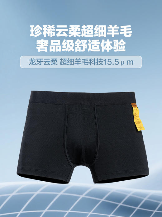 【龙牙上新】龙牙秘之风羽PRO美丽诺羊毛内裤 商品图1